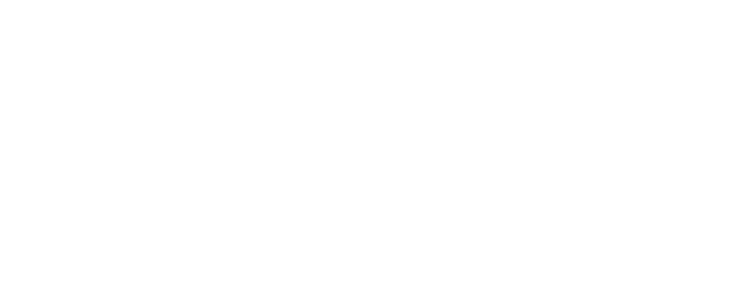 Scout4Skills_Logo
